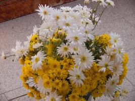 a vase filled with white and yellow flowers photo