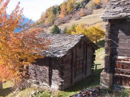 a wooden house with a roof photo