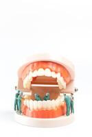 miniatura personas , dentista reparando humano dientes con cena y esmalte foto
