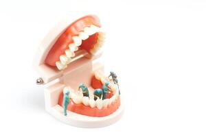 Miniature people , Dentist repairing human teeth with gums and enamel photo