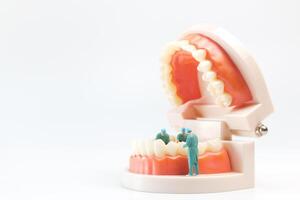 Miniature people , Dentist repairing human teeth with gums and enamel photo