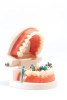 Miniature people , Dentist repairing human teeth with gums and enamel photo