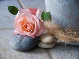 un rosado Rosa sentado en un rock siguiente a un florero foto