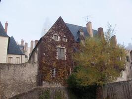 a large building with ivy photo