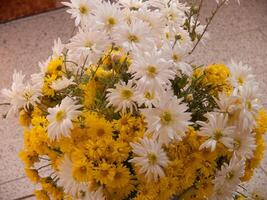 a vase filled with white and yellow flowers photo