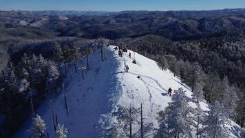 Aerial drone view of mountaineers arriving at a mountain peak surrounded by frozen trees. Mountain landscape on a sunny winter day. video