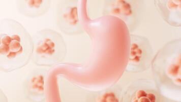 Human stomach and cell background, 3d rendering. video