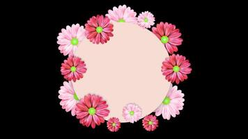 Womens Day Floral Element Alpha Video Pink flowers are arranged in a circle