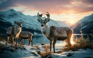 Snowy Reindeer Haven Alpine Meadow at Pastel Twilight photo