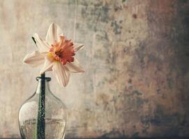 ai generado rosado narciso flor en un claro florero con un beige antecedentes foto