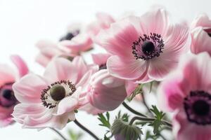 AI generated pink anemones on a white background photo