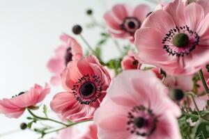 AI generated pink anemones on a white background photo