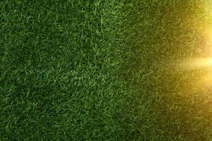 Green grass texture background grass garden concept used for making green background football pitch, Grass Golf, green lawn pattern textured background. photo