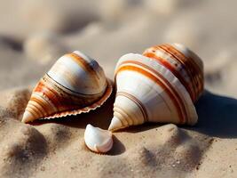 AI generated a couple of seashells sitting on top of a sandy beach, wearing seashell attire, seashell, conch shell photo