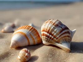 AI generated a couple of seashells sitting on top of a sandy beach, wearing seashell attire, seashell, conch shell photo