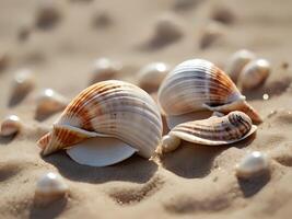 AI generated a couple of seashells sitting on top of a sandy beach, wearing seashell attire, seashell, conch shell photo