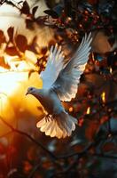 ai generado blanco paloma volador gratis en un ligero noche foto