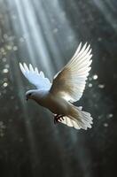 AI generated white dove flying free in a light evening photo