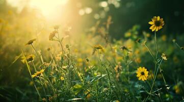 AI generated a green and flowery field with sunlight in the background photo