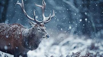 ai generado un rojo ciervo con grande cornamenta y caminando en el nieve foto