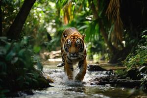 ai generado un Tigre caminando mediante pequeño corrientes en un bosque foto