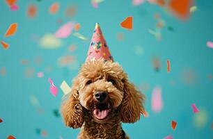 ai generado un perro en un fiesta sombrero en un azul fondo animado gifs foto