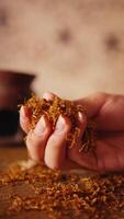 Close-up of hands holding dried marigold petals video