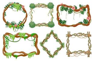 Jungle liana frames. Cartoon rainforest branches with moss, vines with tropical leaves and exotic flowers round and square frame vector set