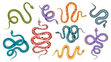 Wild snakes. Colorful coral snake tattoos with abstract and natural patterns. Viper, anaconda crawl and hiss. Poisonous serpent vector set