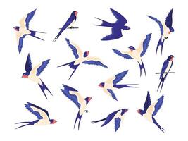 dibujos animados pequeño granero golondrina aves vuelo posa plano golondrinas mosca en cielo y sentar en cable. rápido negro blanco pájaro rebaño. golondrina vector conjunto