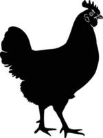 AI generated Silhouette chicken black color only vector