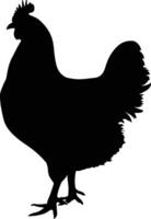 AI generated Silhouette chiken black color only vector