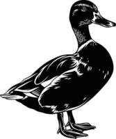 AI generated Silhouette duck black color only vector