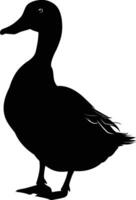 AI generated Silhouette duck black color only vector