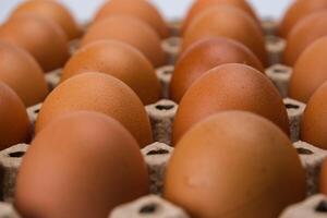 Raw chicken eggs in egg box close up. Eggs are in the panel. Fresh chicken eggs in a cardboard container in the kitchen. photo