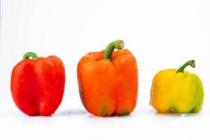 Three bell peppers isolated on white background. Bell peppers of various colors on a white background. photo