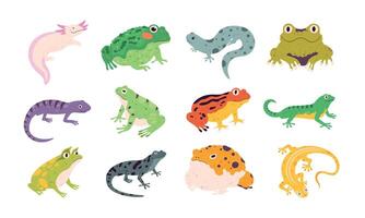 Tropical colorful decorative amphibian frogs, lizards and toads. Terrarium reptile animals, salamander, axolotl and newt. Frog vector set