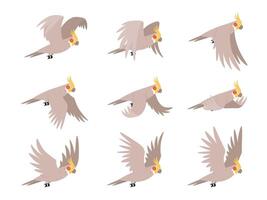 Cartoon cockatoo parrot fly animation frames sequence. Animated sprites loop of tropical bird flying in sky. Parrot wing vector motion cycle