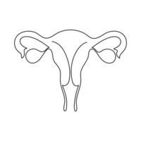 Continuous single one line drawing Uterus and ovaries, organs of female reproductive system and women's day vector art illustration