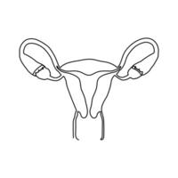 continuo soltero uno línea dibujo útero y ovarios, órganos de hembra reproductivo sistema y De las mujeres día vector Arte ilustración