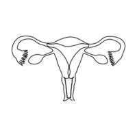 Continuous single one line drawing Uterus and ovaries, organs of female reproductive system and women's day vector art illustration