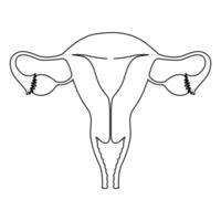 Continuous single one line drawing Uterus and ovaries, organs of female reproductive system and women's day vector art illustration