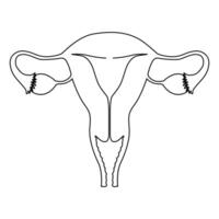 Continuous single one line drawing Uterus and ovaries, organs of female reproductive system and women's day vector art illustration