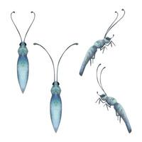 Hand drawn watercolor illustration butterfly bug wasp ant insect moth. Realistic body with antennae, front side view. Set of objects isolated on white background. Design print, shop, poster, biology vector