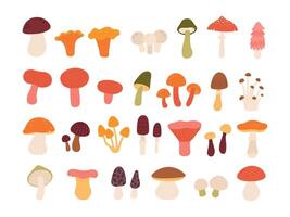 Flat edible forest mushrooms, truffle, chanterelle, porcini and amanita. Natural wild mushroom types in abstract minimalist style vector set