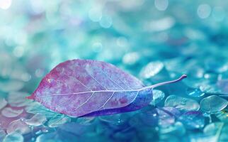 AI generated a purple leaf is on a colorful blue background photo