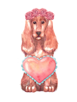 Spaniel cute dog with wreath of roses and heart. Valentines day, love and romance concept. Hand drawn watercolor illustration of pet isolated on transparent background for design, postcards. png