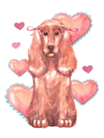 Spaniel cute dog with bow surrounded by hearts. Valentines day, love and romance concept. Hand drawn watercolor illustration of pet isolated on transparent background for design, postcards. png