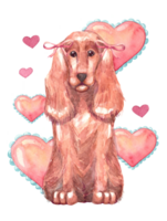 spaniel fofa cachorro com arco cercado de corações dia dos namorados dia, amor e romance conceito. mão desenhado aguarela ilustração do animal isolado em transparente fundo para projeto, cartões postais. png