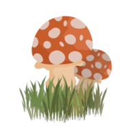 Mushroom on a grass png